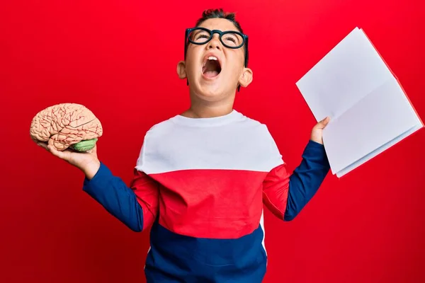 Niño Hispano Sosteniendo Cerebro Estudiando Para Escuela Enojado Loco Gritando — Foto de Stock