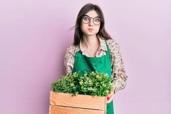 Ung Vacker Kaukasisk Flicka Bär Trädgårdsmästare Förkläde Hålla Trä Växt — Stockfoto