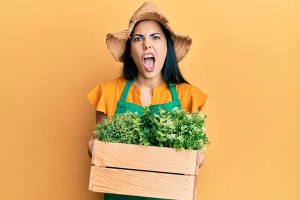 Mulher Bonita Usando Avental Jardineiro Segurando Panela Madeira Cético Nervoso — Fotografia de Stock