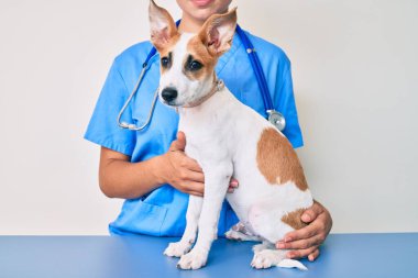 Veterinerdeki yavru köpek, sağlık kontrolüne gidiyor, profesyonel inceleme köpeği, stetoskop kullanıyor.