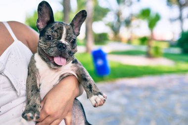 Güzel bir köpek yavrusu tutan kadın. Parkta mutlu bir buldog.
