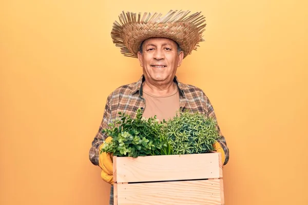 Homem Sênior Com Cabelos Grisalhos Usando Chapéu Jardineiro Segurando Panela — Fotografia de Stock