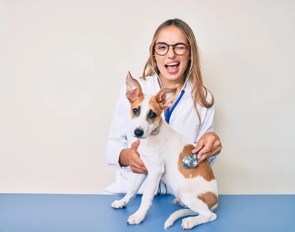 若いです美しいですブロンド獣医師女性チェック犬の健康を使用してくださいStethoscopeウインク見ますカメラとともにセクシー式 陽気で幸せな顔 — ストック写真