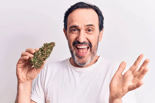 Hombre Guapo Mediana Edad Sosteniendo Marihuana Pie Sobre Fondo Blanco — Foto de Stock