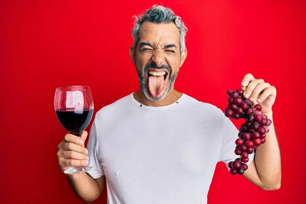 Middle Age Grey Haired Man Holding Branch Fresh Grapes Red — Stock Photo, Image