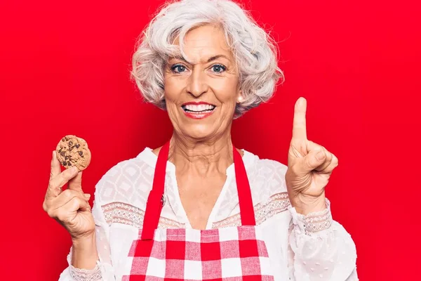 Μεγαλύτερη Γκριζομάλλα Γυναίκα Φορώντας Ποδιά Κρατώντας Μπισκότο Χαμογελώντας Μια Ιδέα — Φωτογραφία Αρχείου