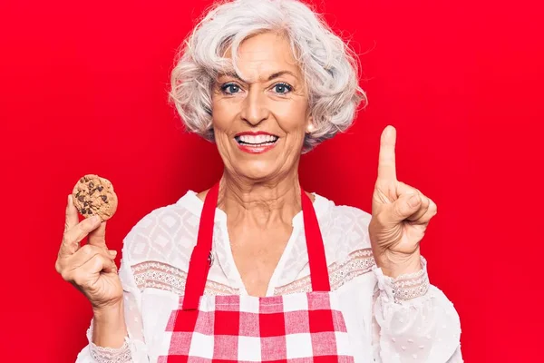 Mujer Mayor Pelo Gris Con Delantal Sosteniendo Galleta Sonriendo Con — Foto de Stock