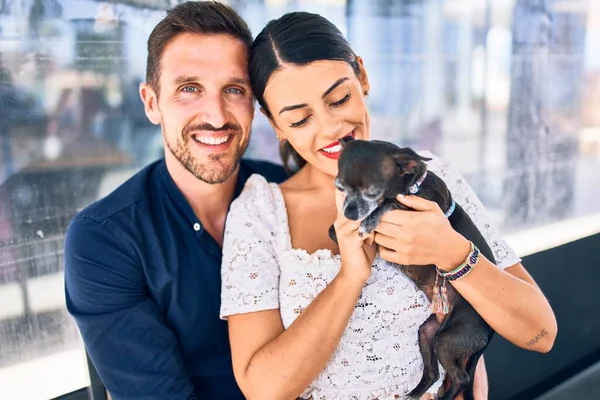 Jong Mooi Koppel Glimlachend Gelukkig Zelfverzekerd Houden Chihuahua Hond Zittend — Stockfoto