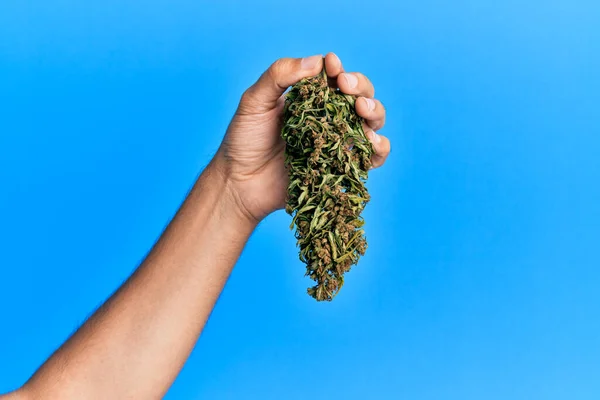 Hand Van Een Spaanse Man Met Marihuana Knop Cannabis Geïsoleerde — Stockfoto