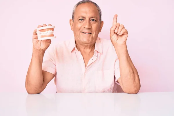 Senior Handsome Man Gray Hair Holding Denture Sitting Talbe Smiling — Stock Photo, Image