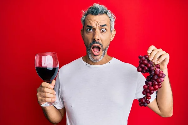 Middle Age Grey Haired Man Holding Branch Fresh Grapes Red — Stock Photo, Image