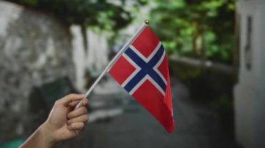 Norveç 'te bir şehir caddesinde el ele tutuşan Norveç bayrağı, canlı açık hava atmosferini yakalıyor..