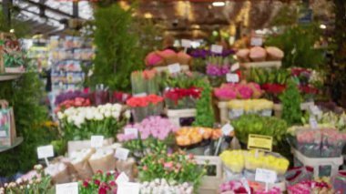 Hollanda 'daki hareketli bir çiçek pazarında canlı laleler sergilenirken, arka planda bulanık insanlar canlı ve renkli bir atmosfer yaratıyor..