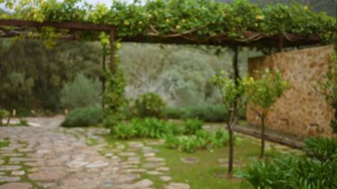 Bulanık bahçe sahnesinde Akdeniz tarzı yollar ve çözünmüş taş duvarlar ve yemyeşil bitki örtüsü huzur verici bir bokeh etkisi yaratıyor..