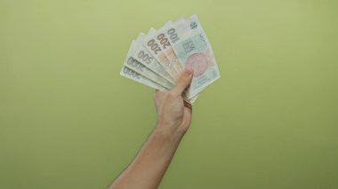 Sarı duvara karşı el ele tutuşan Koruna banknotları, yalıtılmış arka planda para üzerinde beyaz erkek kontrolü sergiliyor..