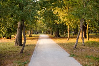 Parkta sakin akşam rahatlatıcı bir an için idealdir