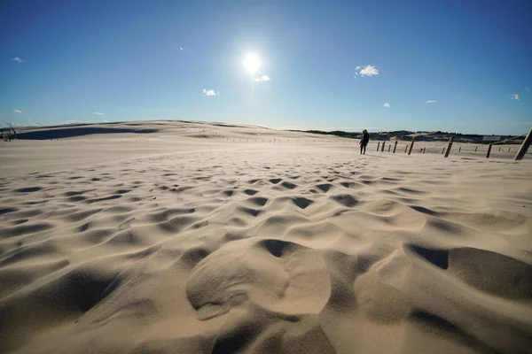 Die Wanderdünen Einem Sonnigen Sommertag Stockfoto