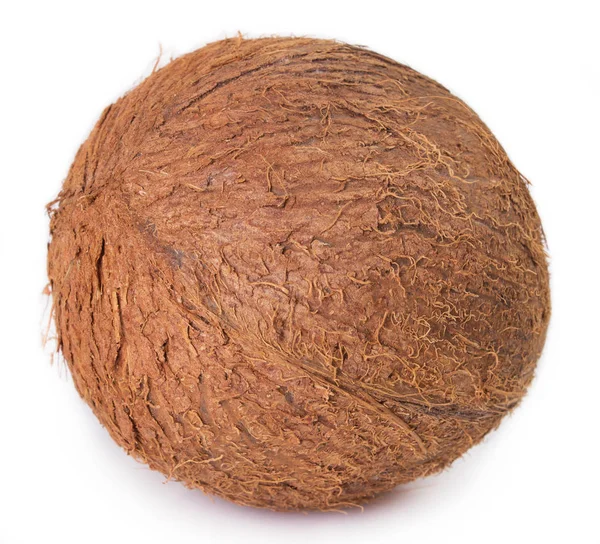 Coconut Isolated White Background — Stock Photo, Image