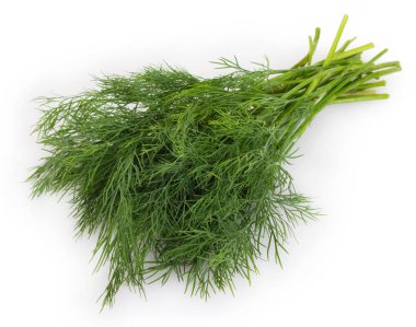 Taze dereotu beyaz arkaplanda izole edildi