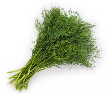 Taze dereotu beyaz arkaplanda izole edildi