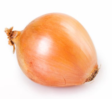 Beyaz arkaplanda taze soğan izole edildi