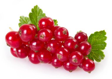 Beyaz arkaplanda kırmızı frenk üzümü izole edildi