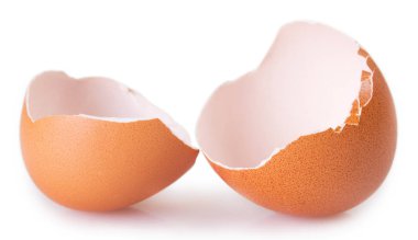 yumurta kabuğu beyaz arkaplanda izole edildi