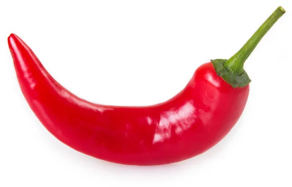 Chili Pepper Isolated White Background — Stock Photo, Image