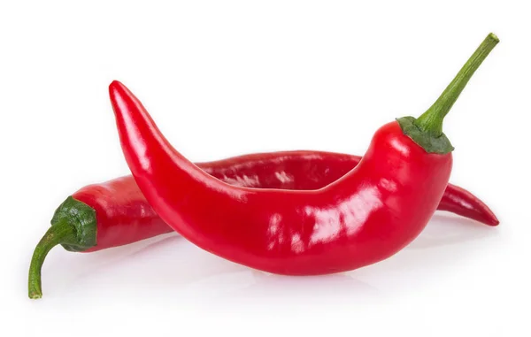 Chili Pepper Isolated White Background — Stock Photo, Image