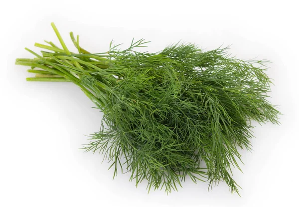 Fresh Dill Isolated White Background — Stock Photo, Image