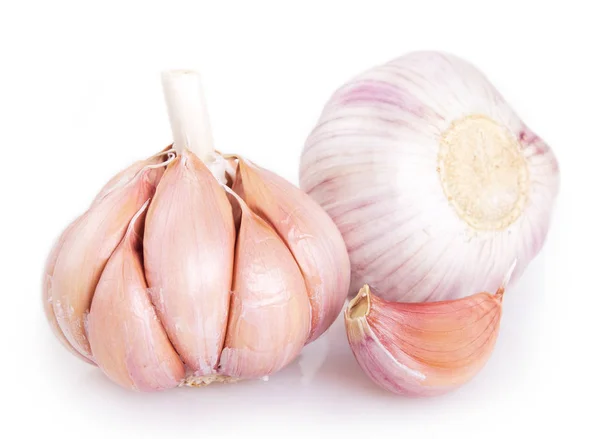 Frischer Knoblauch Isoliert Auf Weißem Hintergrund — Stockfoto