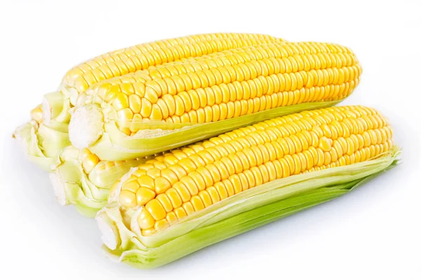 Fresh Corn Isolated White Background — Stock Photo, Image