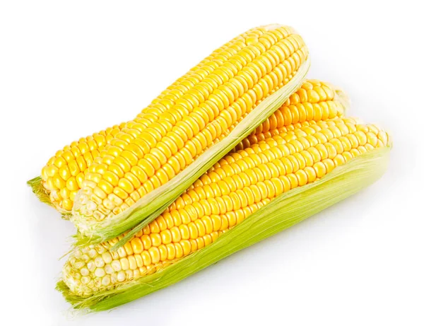 Friss Kukorica Izolált Fehér Alapon — Stock Fotó