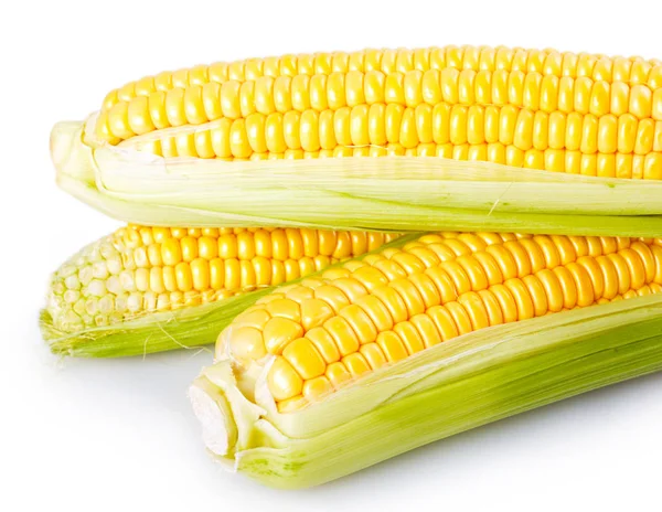 Fresh Corn Isolated White Background — Stock Photo, Image