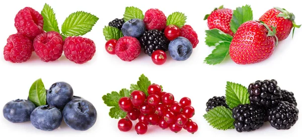 Collection Berries Isolated White Background — Stock Photo, Image