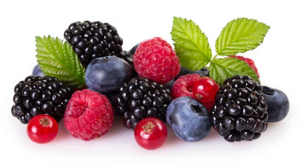 Fresh Berries Isolated White Background — Stock Photo, Image