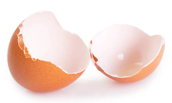 Eggshell Isolated White Background — Stock Photo, Image