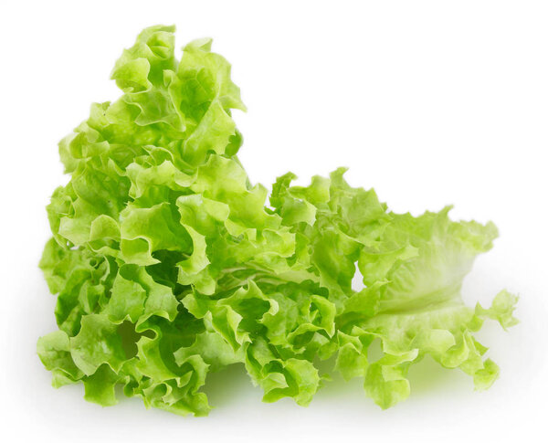 fresh lettuce salad isolated on white background