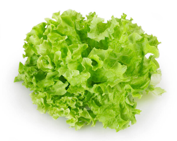 fresh lettuce salad isolated on white background