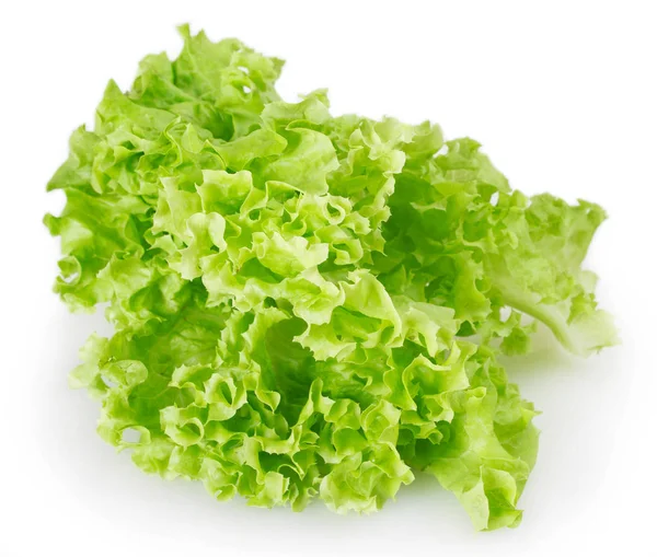 Beyaz arka plan üzerinde izole taze marul salatası