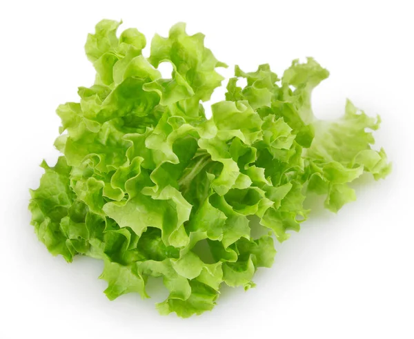 Frischer Salat Isoliert Auf Weißem Hintergrund — Stockfoto