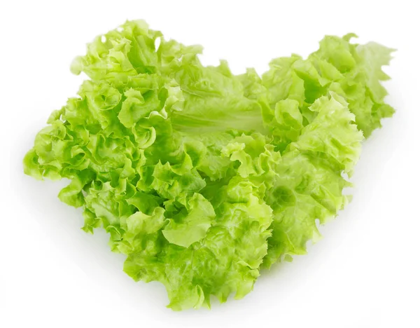 Fresh Lettuce Salad Isolated White Background — Stock Photo, Image