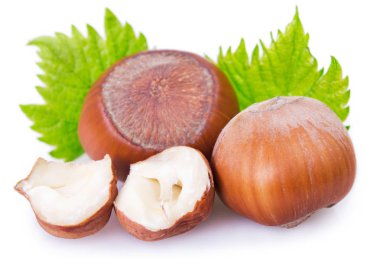 Fındık beyaz arkaplanda izole