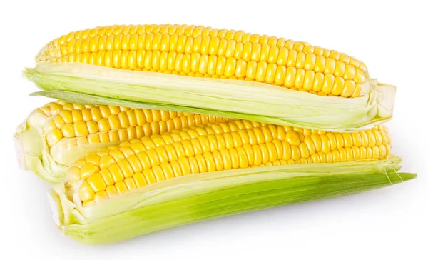 Čerstvé Kukuřice Izolované Bílém Pozadí — Stock fotografie