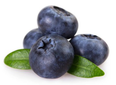 Beyaz arka planda izole edilmiş taze yaban mersini