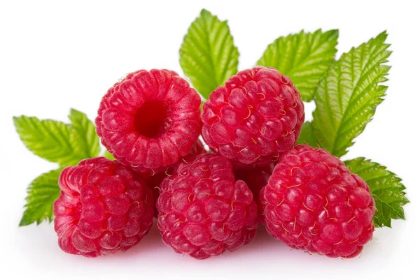 Fresh Raspberry Isolated White Background — Stock Photo, Image