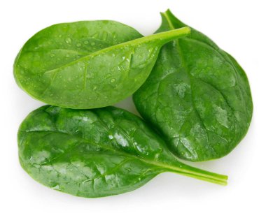 taze ıspanak üzerinde beyaz arka plan izole