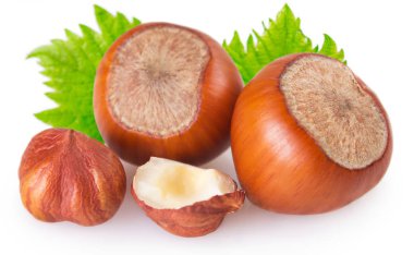 fındık yaprak beyaz arka plan üzerinde izole