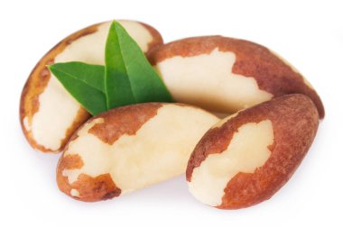 Brezilya Cevizi yaprak beyaz arka plan üzerinde izole