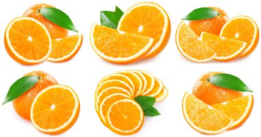 Beyaz arka plan üzerinde izole taze turuncu meyve toplama
